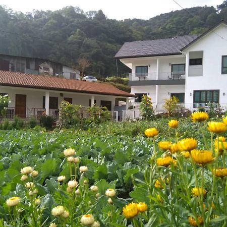 Ng Family'S Farm Stay キャメロンハイランド エクステリア 写真