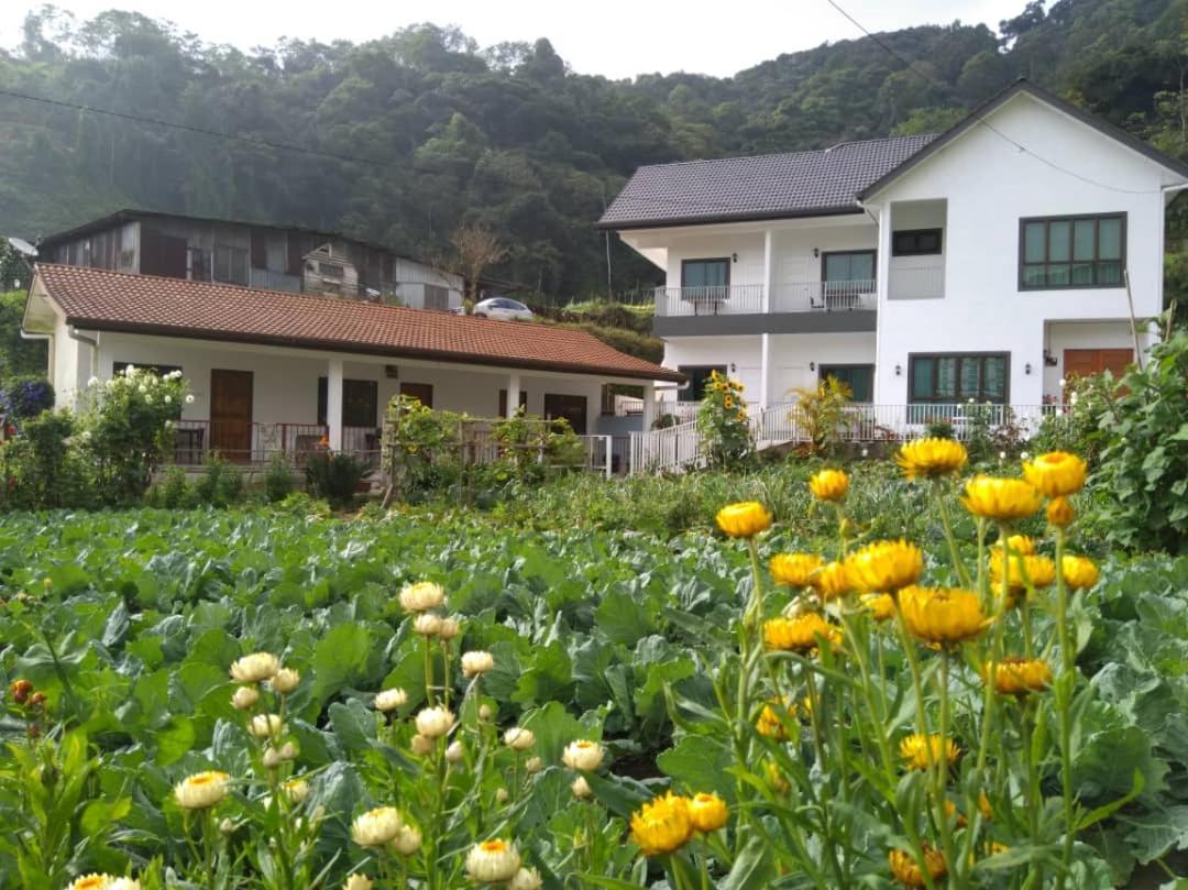 Ng Family'S Farm Stay キャメロンハイランド エクステリア 写真